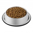 Сухой корм для котят Purina Cat Chow, домашняя птица, пакет, 400 г